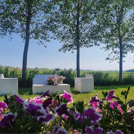 Agriturismo Ca' Pisani 维罗港 外观 照片