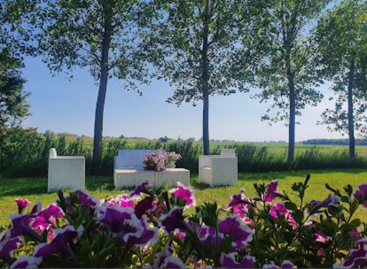Agriturismo Ca' Pisani 维罗港 外观 照片