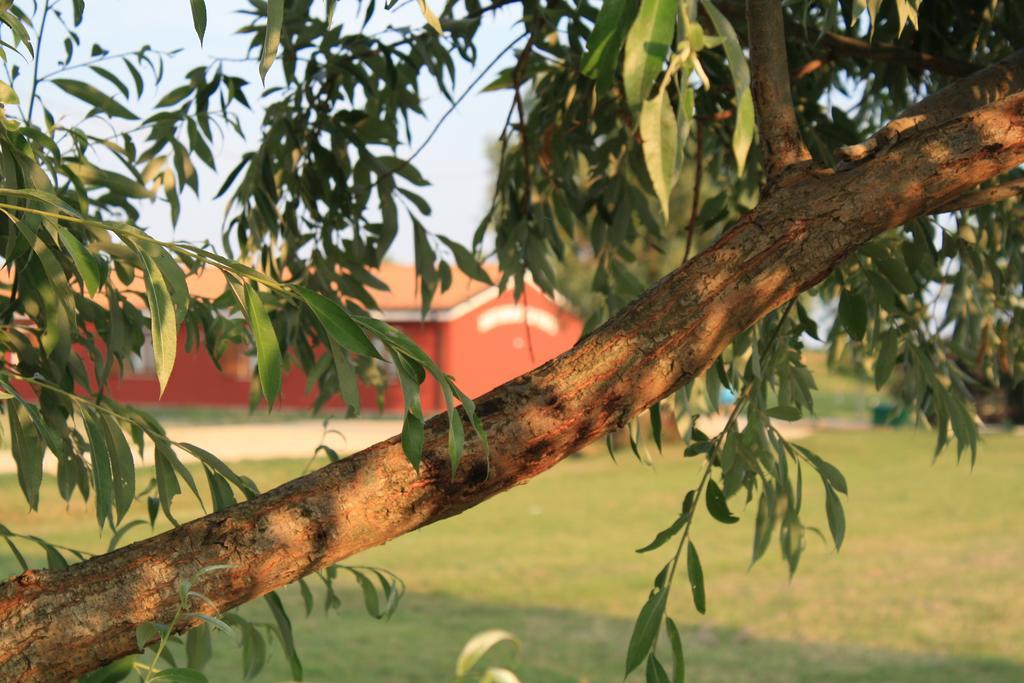 Agriturismo Ca' Pisani 维罗港 外观 照片