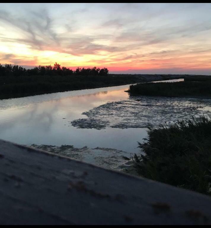 Agriturismo Ca' Pisani 维罗港 外观 照片